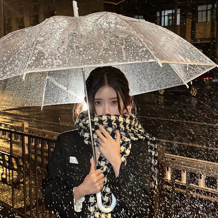 公寓里的两个女人