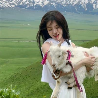 最后的维米尔