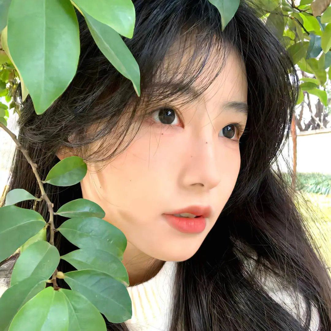 红花之歌
